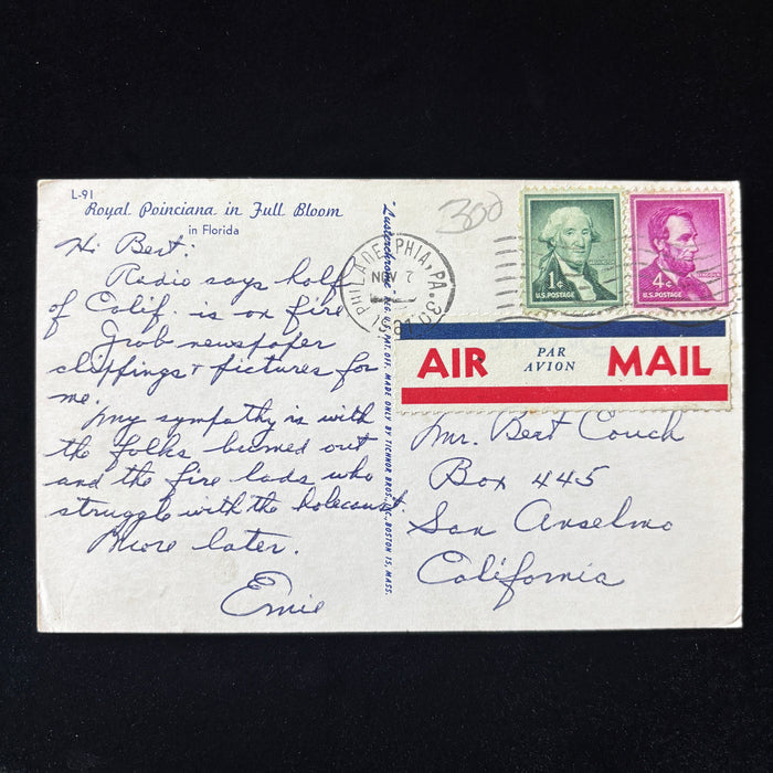 Vintage Postcard 1944 California Wildfire Disaster Florida Red Poinciana Tree