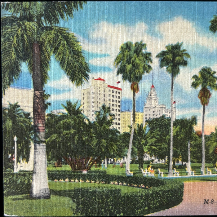 Vintage Postcard Lot FL Tour Oranges Museum Bridge Post Office Miami Resort Cars