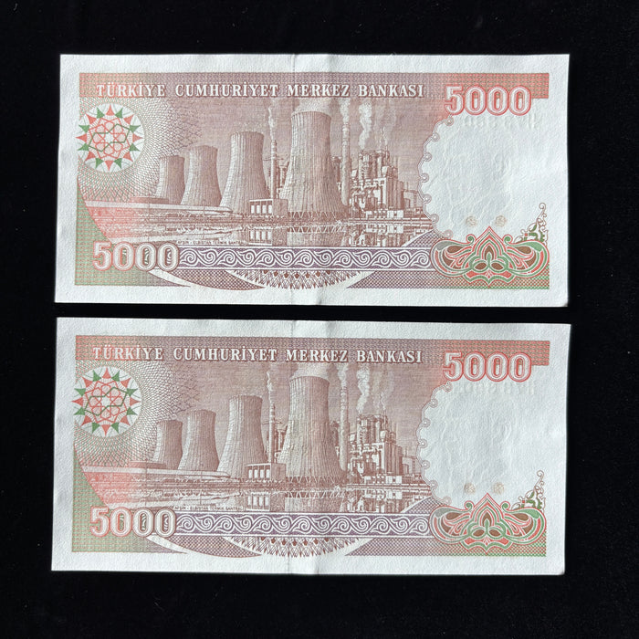 Vintage Banknote 1985 Set Turkey Consecutive Pair 5000 Lirasi UV Verified UNC