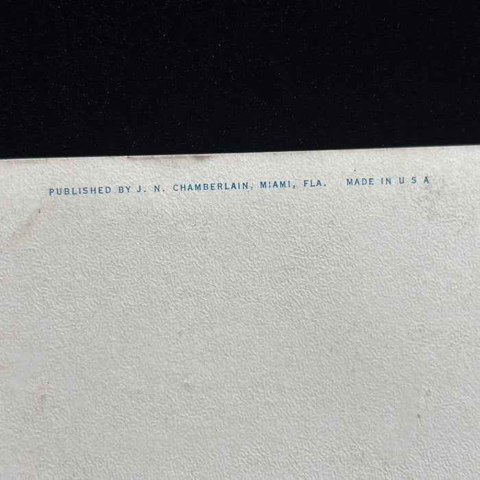 Antique Postcard 1921 Gondolas Flamingo Hotel Lost Miami Florida Biscayne Bay