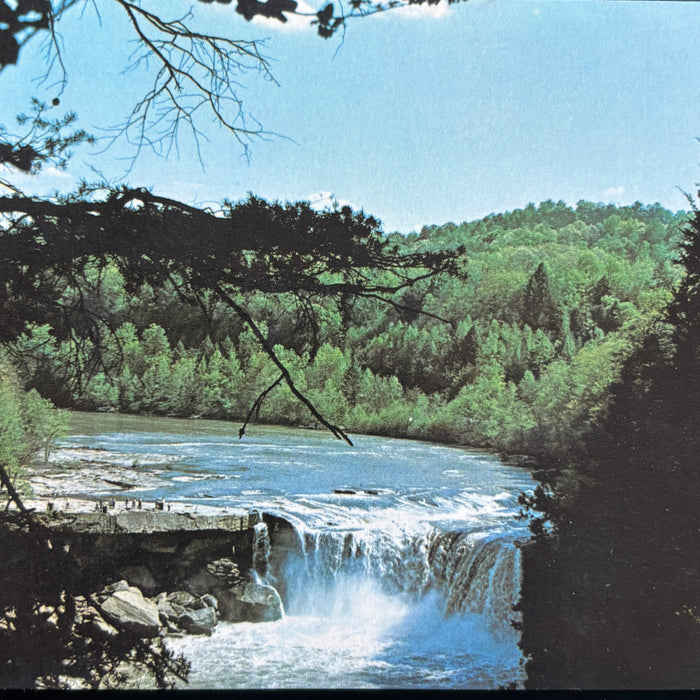Vintage Postcard Lot Kansas Road Trip Lincoln Memorial Cumberland Falls Cardinal