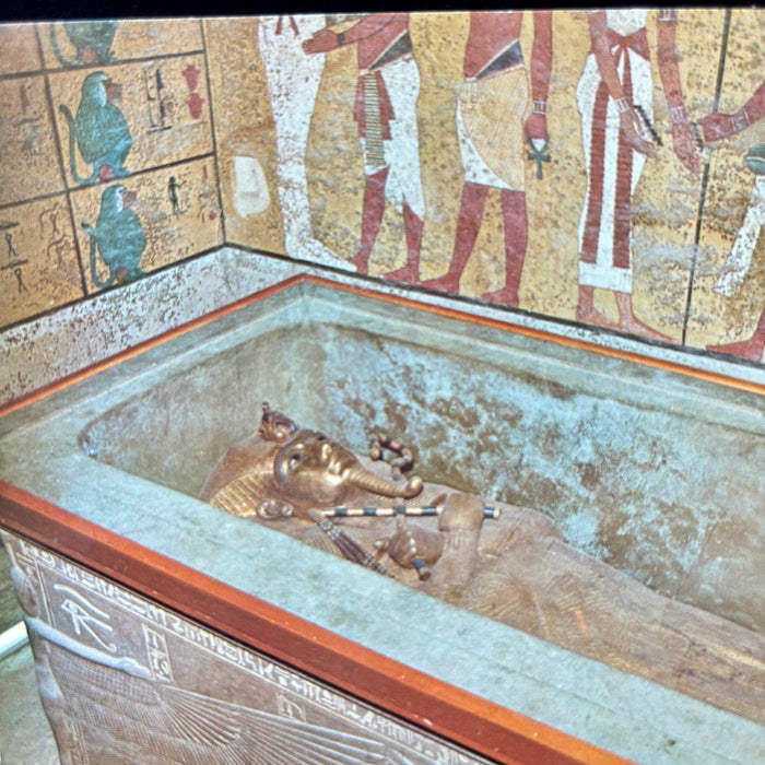 Vintage Postcard Lot King Tut Ankh Amun Tomb Sarcophagus Baboons Egypt Set