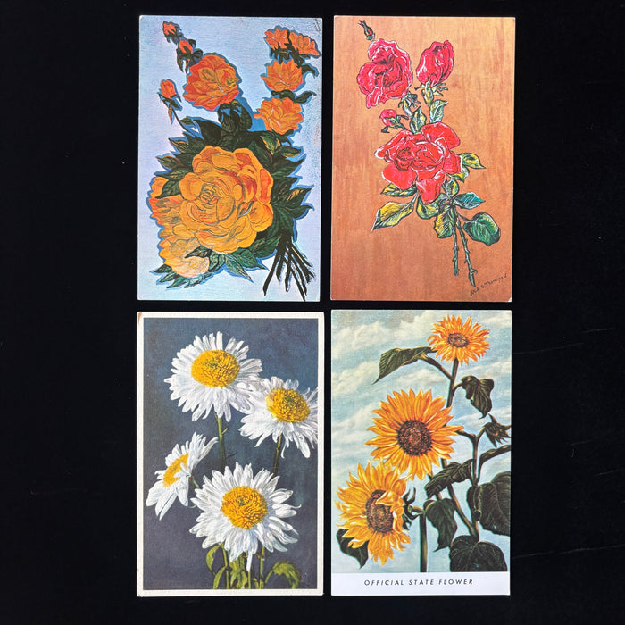Vintage Postcard Lot Kansas State Flower Sunflower Anemone Nyla Thompson