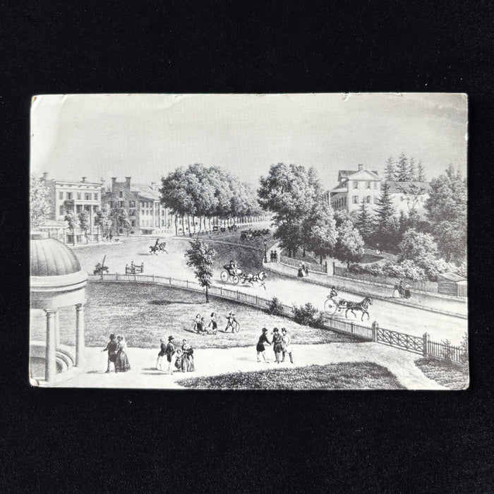 Vintage Postcard Broadway Congress Park Saratoga New York Horses People