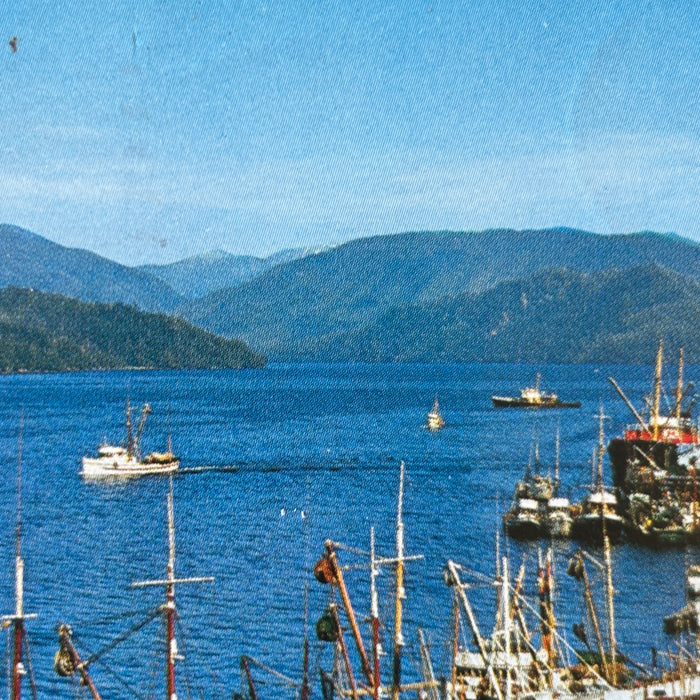 Vintage Postcard 1957 Teens Onboard Prince Rupert Fishing Fleet Boats Canada