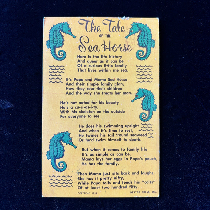 Vintage Postcard 1968 Sea Horse Poem Florida Sarasota Always Use Zip Code Stamp