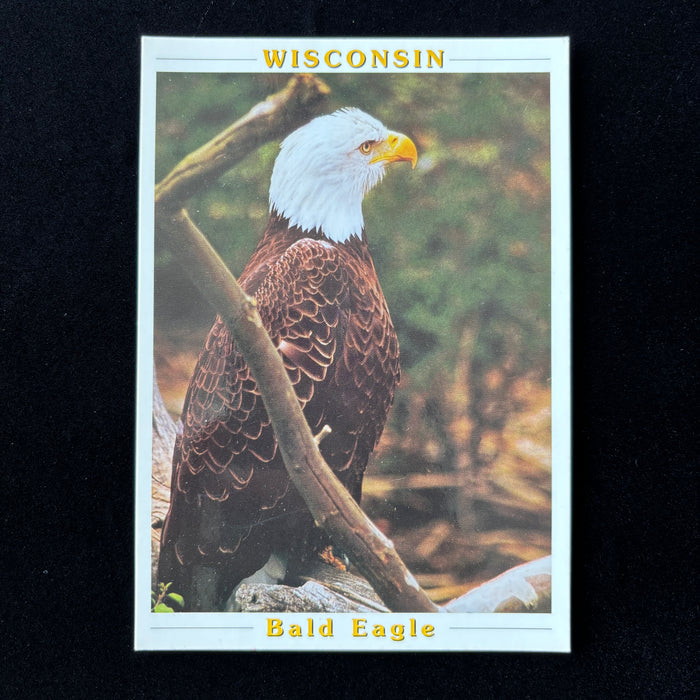 Vintage Postcard Lot Of 3 Wisconsin Bald Eagle American Flag Holstein Calf Cow