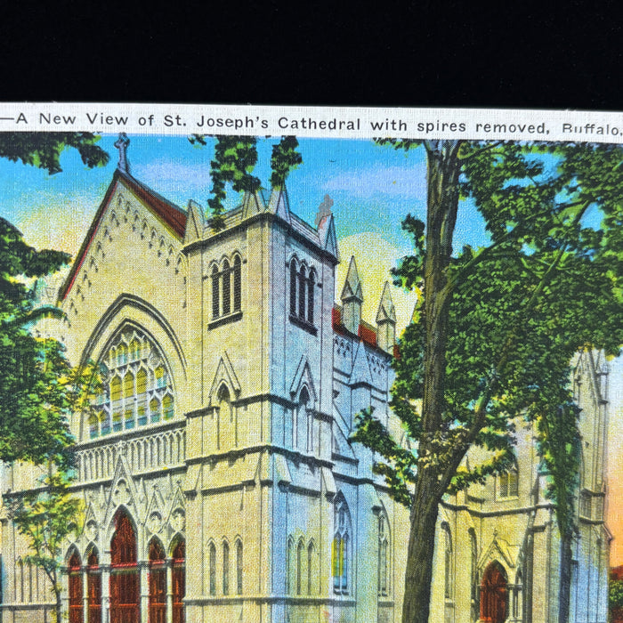 Vintage Postcard Lot Buffalo NY Bison Lafayette Square Rand St Joseph Cathedral