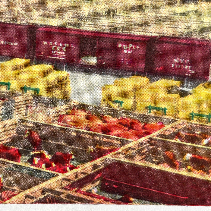 Vintage Postcard 1900s Union Stock Yards Chicago Aerodist Art Views Cows City