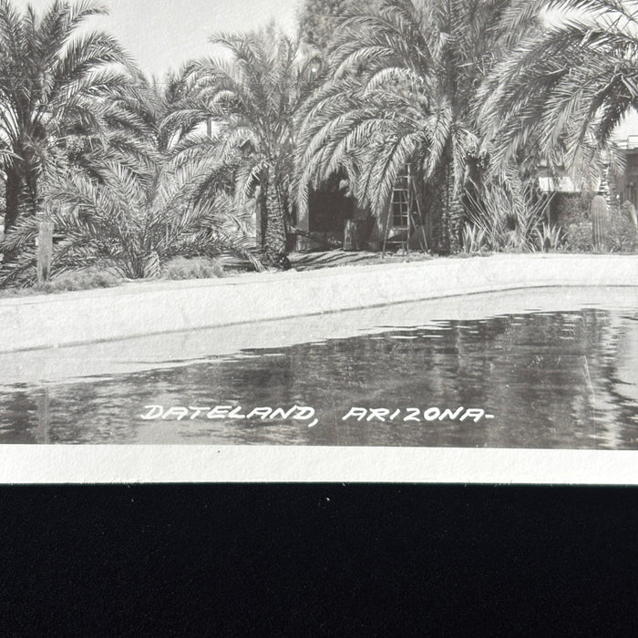 Vintage Postcard 1940s WWII Soldier Camp Dateland AZ RPPC Palm Oasis Swimming Pool