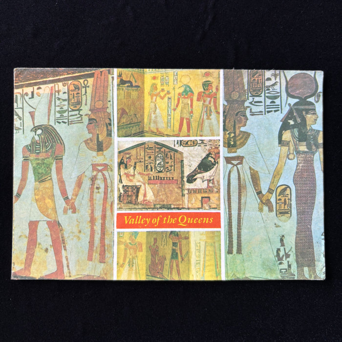Vintage Postcard Travel Story Poor Friendly Camels Valley Queens Egypt Nefertari