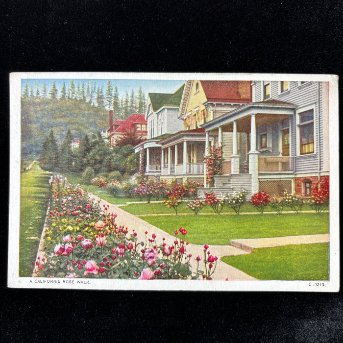Vintage Postcard 1927 Traveling Catholic Nuns California Rose Walk