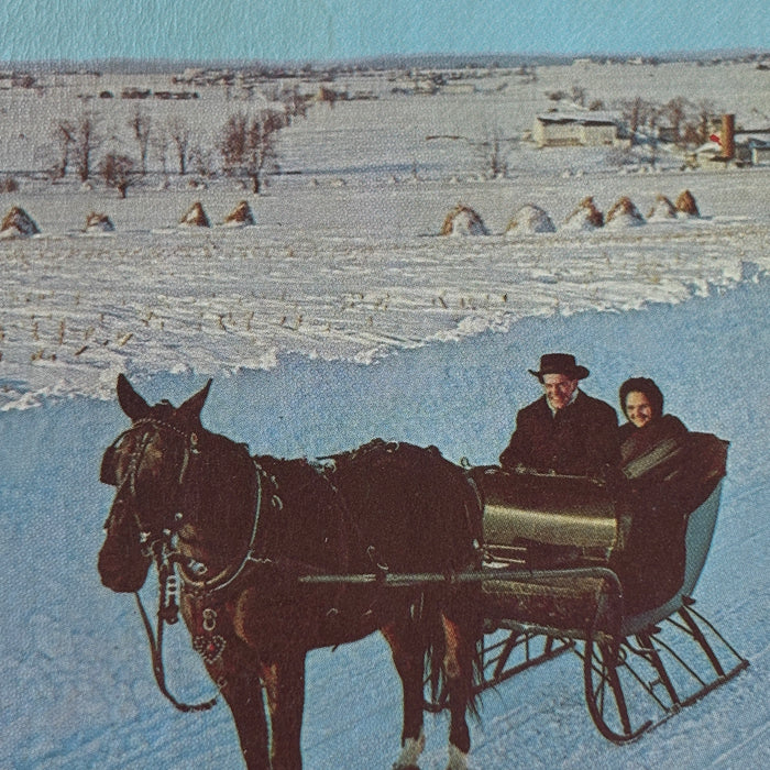 Vintage Postcard 1971 Amish Horse Drawn Sleigh Winter Snow Heart Of Amishland
