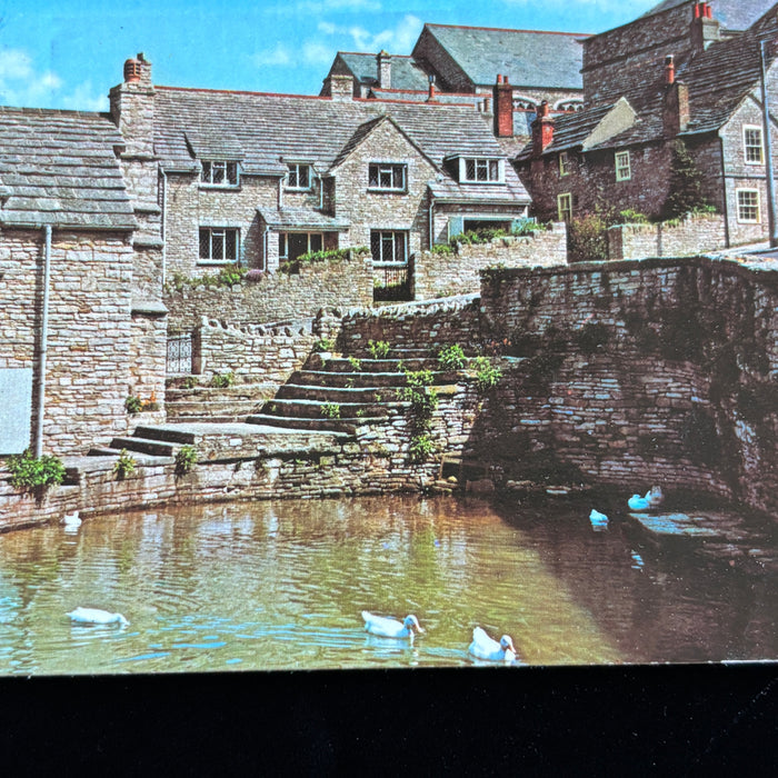 Vintage Postcard 1963 Swanage Mill Pond Gem Dorset Duck Sussex Worthing Holiday