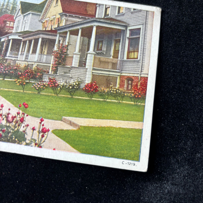 Vintage Postcard 1927 Traveling Catholic Nuns California Rose Walk