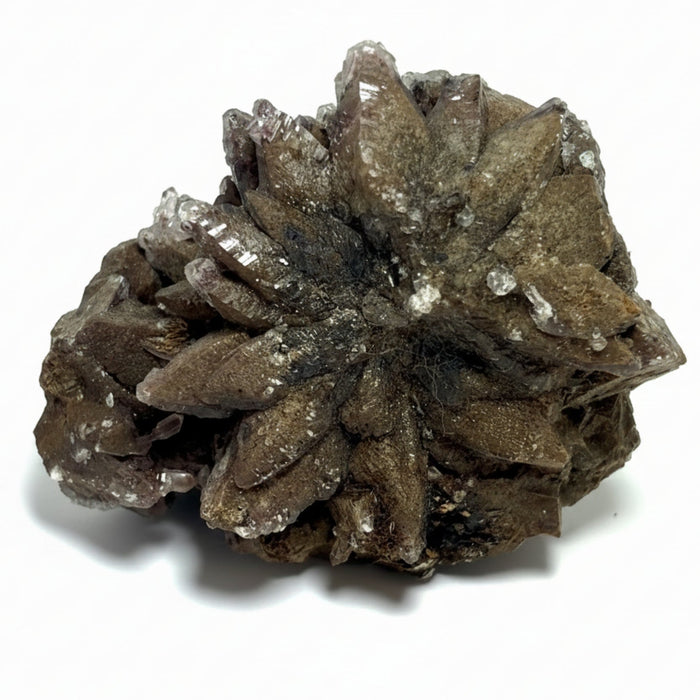 Calcite Cluster Dogtooth Chocolate Brown Crystal