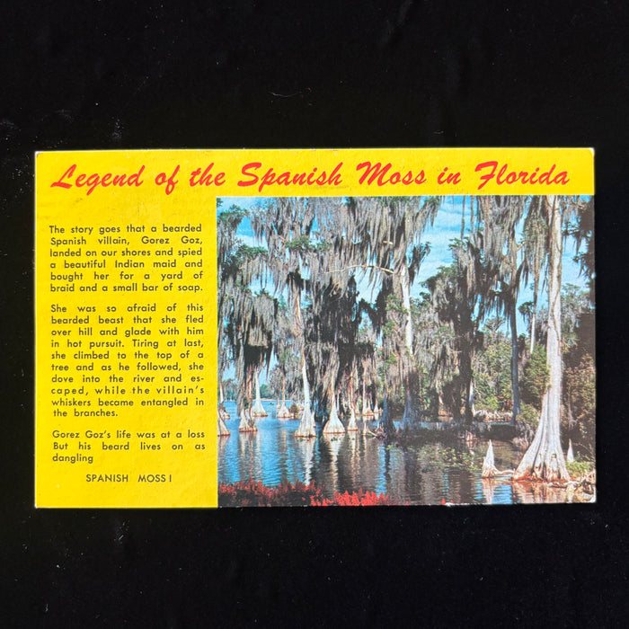 Vintage Postcard Florida Spanish Moss Shelling Lincoln Nebraska Social History