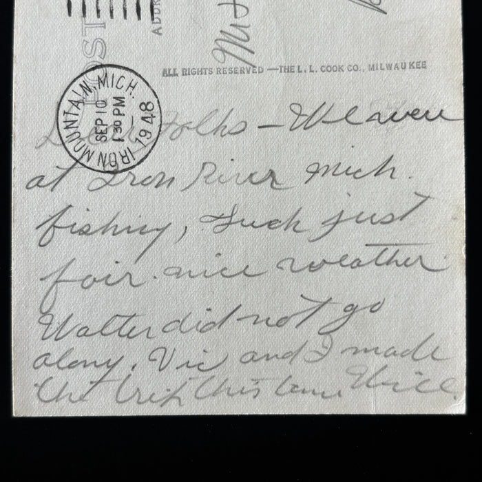 Vintage Postcard 1948 RPPC Black Bear Cubs Wildlife Iron Mt Michigan Fishing