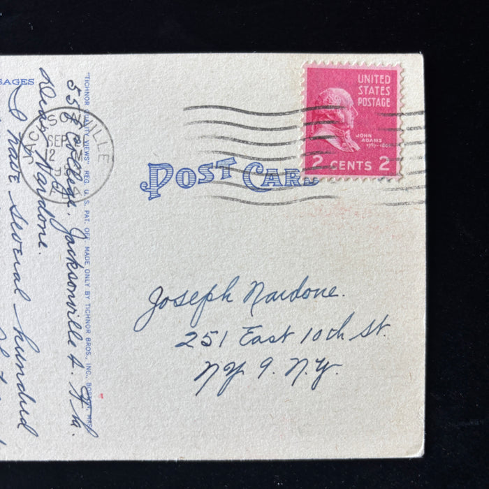 Vintage Postcard 1953 Postcard Collector Epping Forest Garden Jacksonville F