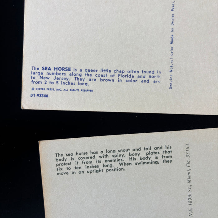 Vintage Postcard Lot Sea Horse Tale Ocean Gems Desert Reverie Antone Martin Poem