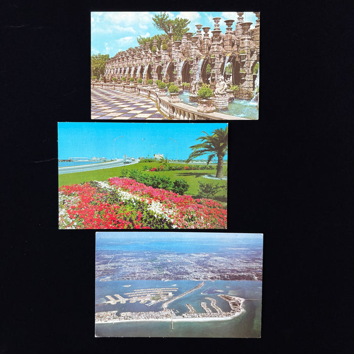 Vintage Postcard Lot 3 Clearwater Florida Kitschy Kapok Memorial Causeway Beach