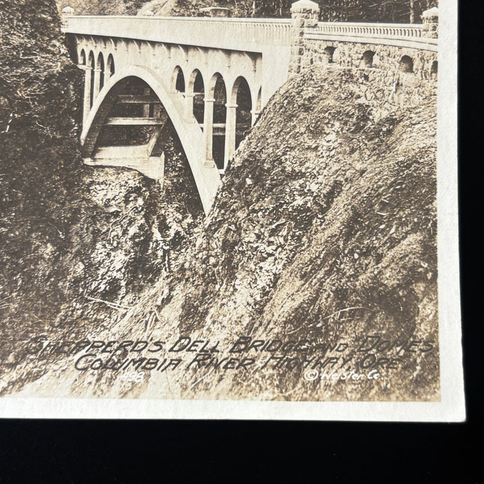 Antique Postcard RPPC Shepperds Dell Bridge Columbia River Hwy Scenic Road Trip