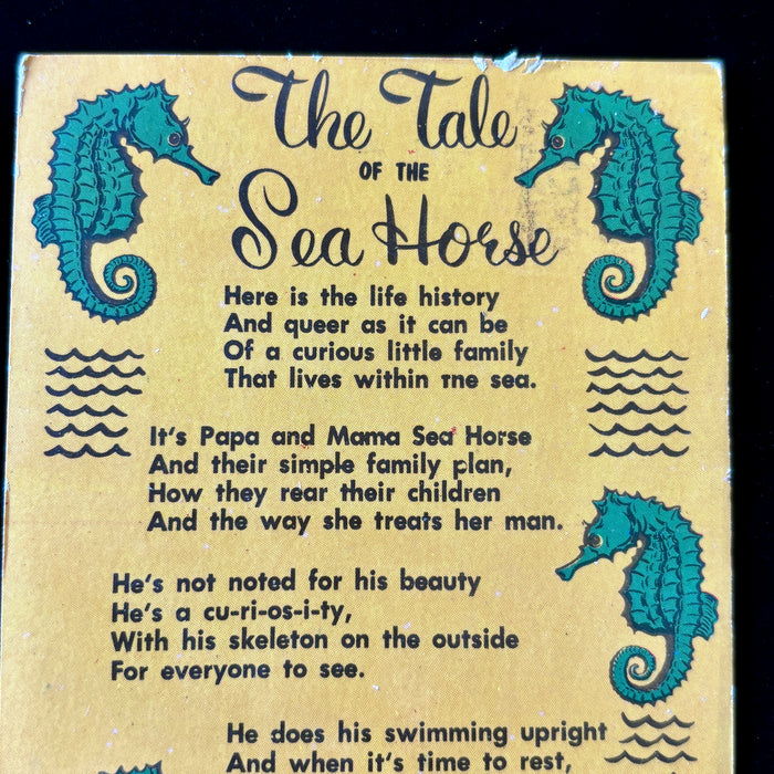 Vintage Postcard 1968 Sea Horse Poem Florida Sarasota Always Use Zip Code Stamp