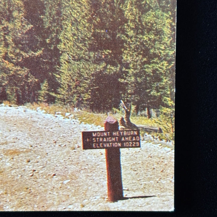 Vintage Postcard Lot Idaho Wilderness Car Trips Tunnel Highway 10 Mount Heyburn