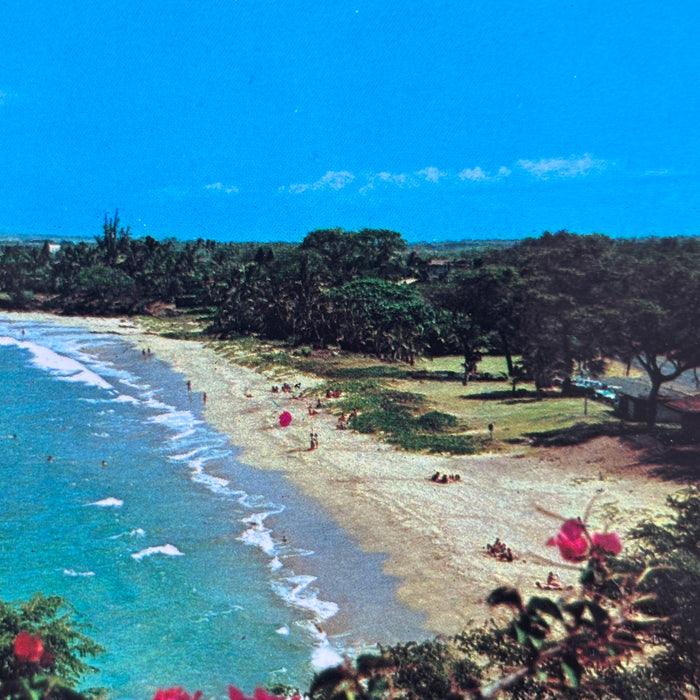 Vintage Postcard Lot Hawaii Maui Kauai Kona Honolulu Surf Hotels Beach Flowers