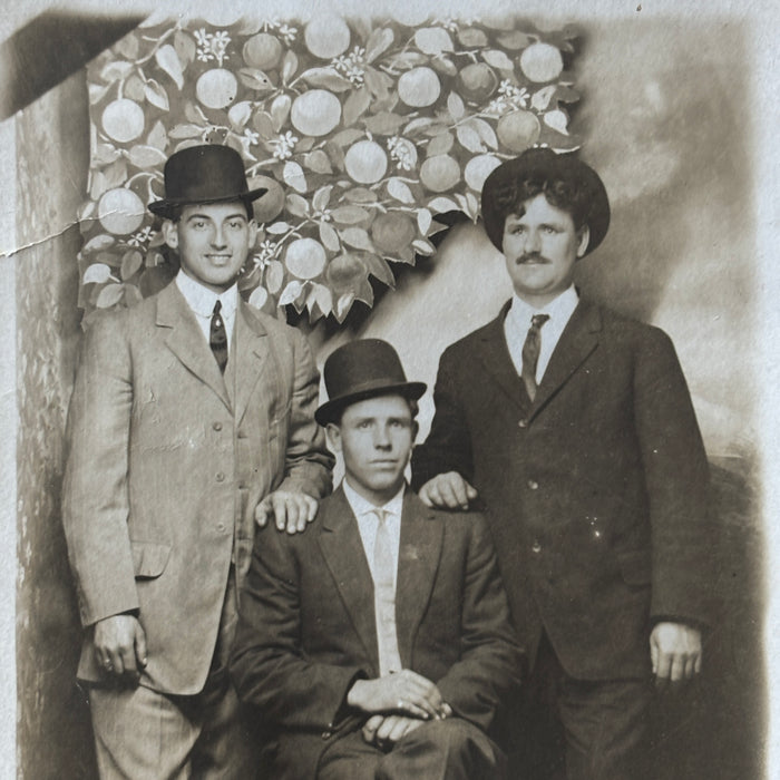 Antique Postcard RPPC Three Men Bowler Hats Studio Friendship Group Fruit Tree