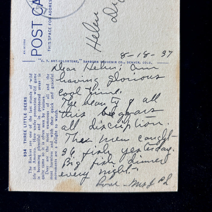 Vintage Postcard 1937 Fish Dinners 3 Deers Rocky Mountains Lake City CO Railway