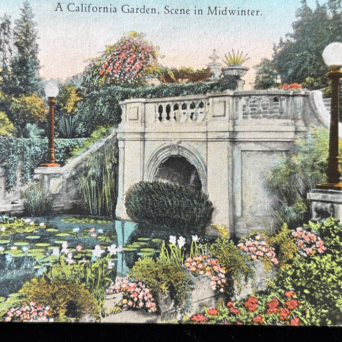 Antique Postcard 1924 California Garden Midwinter L.A. Lily Pond Quick Hello