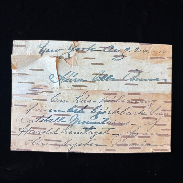 Antique Postcard 1910 Birch Bark Times Square New York Swedish History Catskills