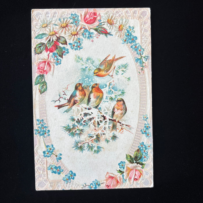 Antique Postcard Sweeping Reward Teacher Rutherford Embossed Winter Birds Roses