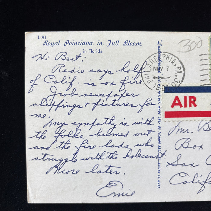 Vintage Postcard 1944 California Wildfire Disaster Florida Red Poinciana Tree
