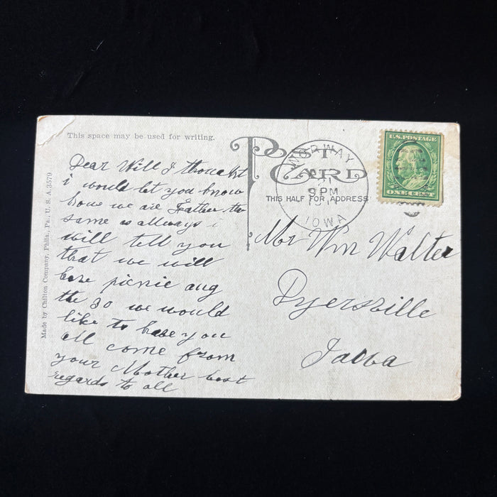 Antique Postcard 1911 Sweet Peas Flower Dyersville Norway Iowa Mother Picnic Msg
