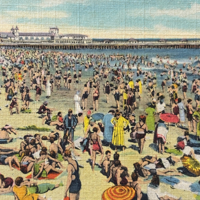 Vintage Postcard 5-Lot Diving Horse Steel Pier Beach Atlantic City NJ Ocean