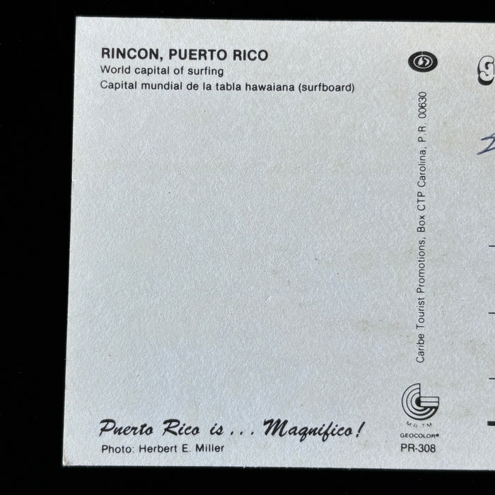 Vintage Postcard Surfing Puerto Rico Rincon Beach Palm Tree Surfboard Caribbean