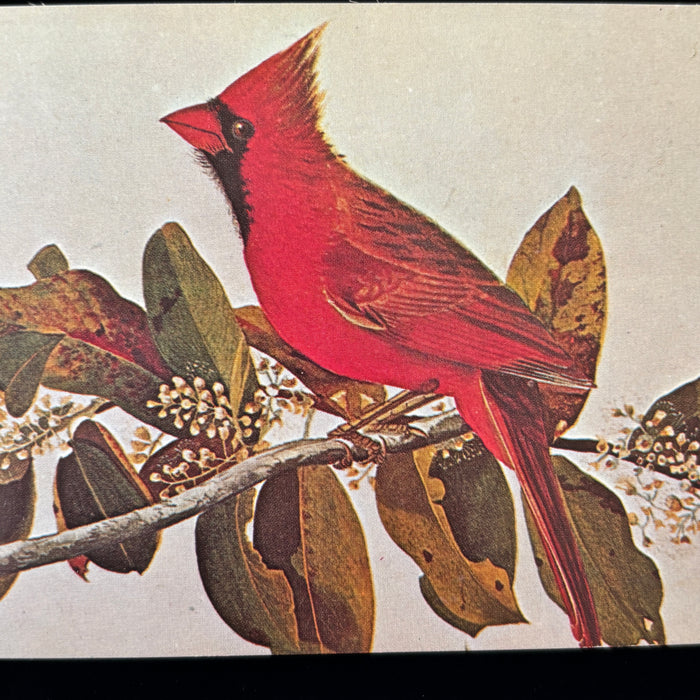 Vintage Postcard Lot Kansas Road Trip Lincoln Memorial Cumberland Falls Cardinal
