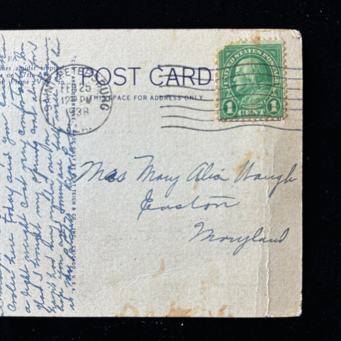 Vintage Postcard 1938 Snow Bird St Petersburg Florida Flame Vine Sunshine City