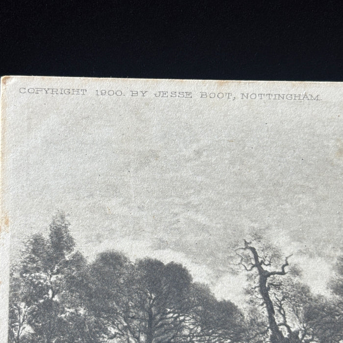 Antique Postcard 1900s Heron Bird Sunset Lucien Gautier Jesse Boot Nottingham UK