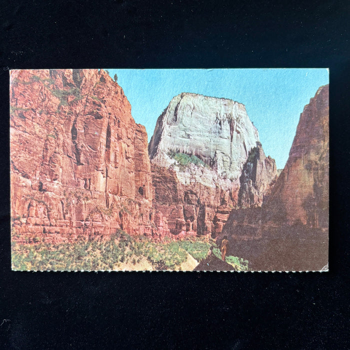 Vintage Postcard 1951 Forest Fire Zion National Park Utah Great White Throne
