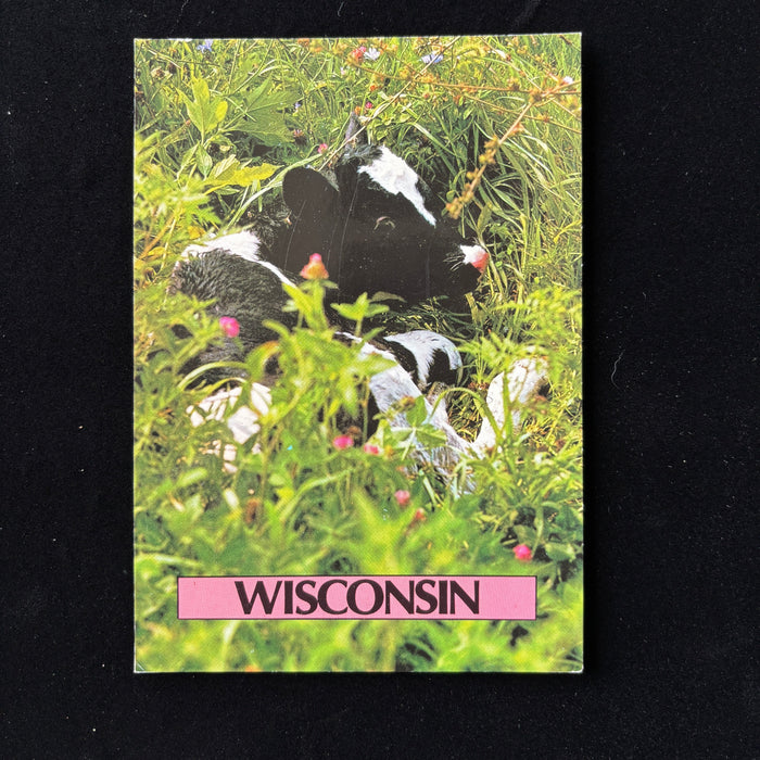 Vintage Postcard Lot Of 3 Wisconsin Bald Eagle American Flag Holstein Calf Cow