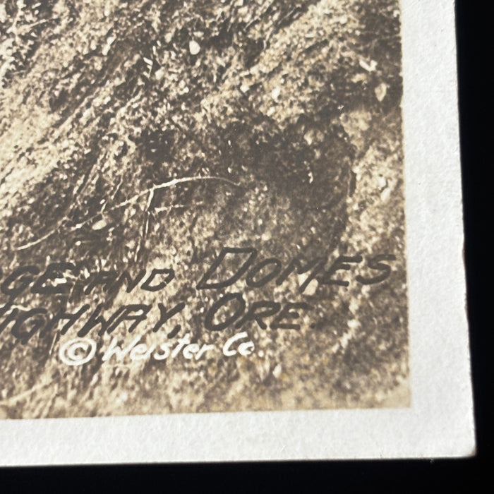 Antique Postcard RPPC Shepperds Dell Bridge Columbia River Hwy Scenic Road Trip