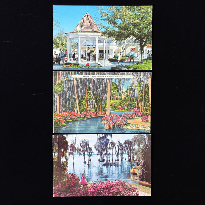 Vintage Postcard Lot Southern Belles Lagoon Florida Cypress Gardens Gazebo Music