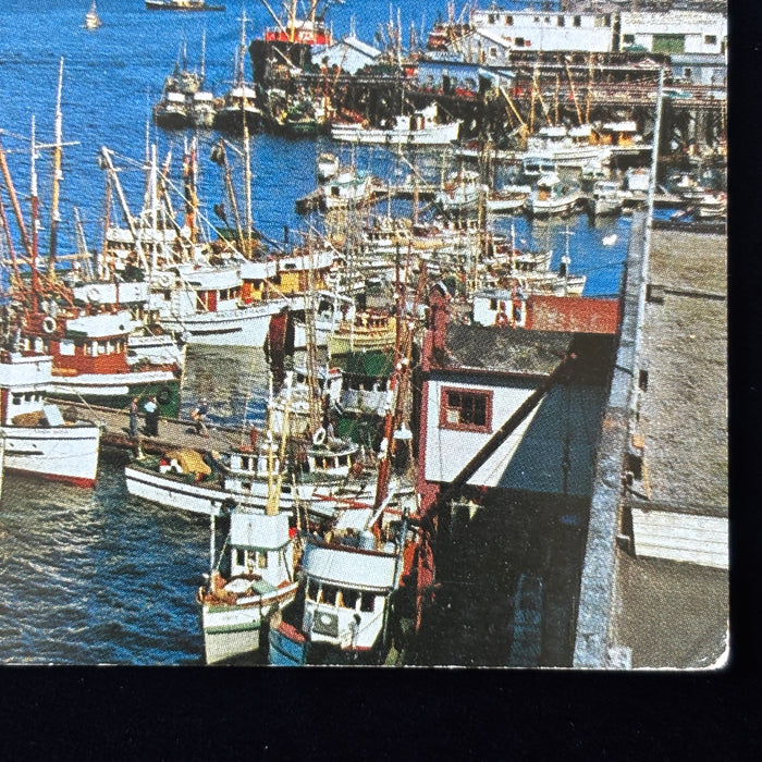 Vintage Postcard 1957 Teens Onboard Prince Rupert Fishing Fleet Boats Canada