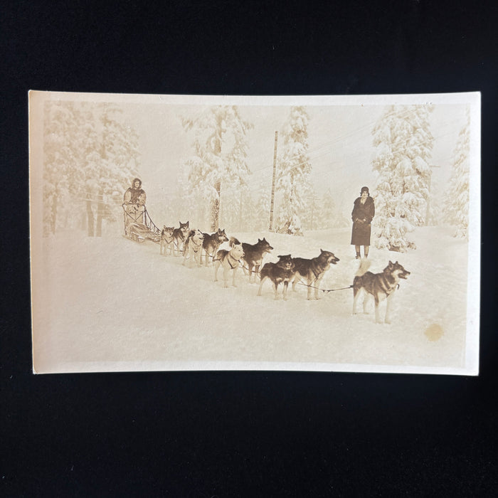 Vintage Postcard RPPC Alaska Sled Dog Team Husky Mushing Snow Rugged Canada Lady