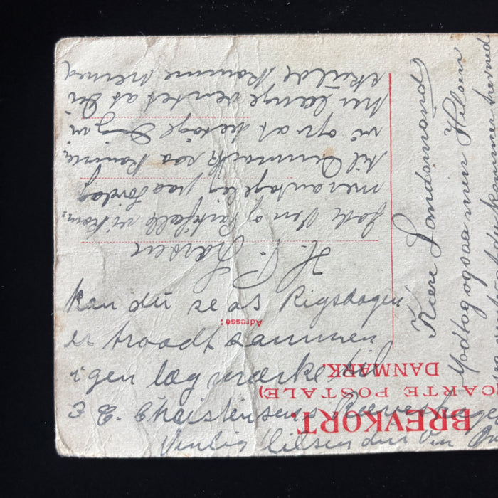 Antique Postcard 1909 Kolding Denmark Marielund Lake Rigsdagen Social History