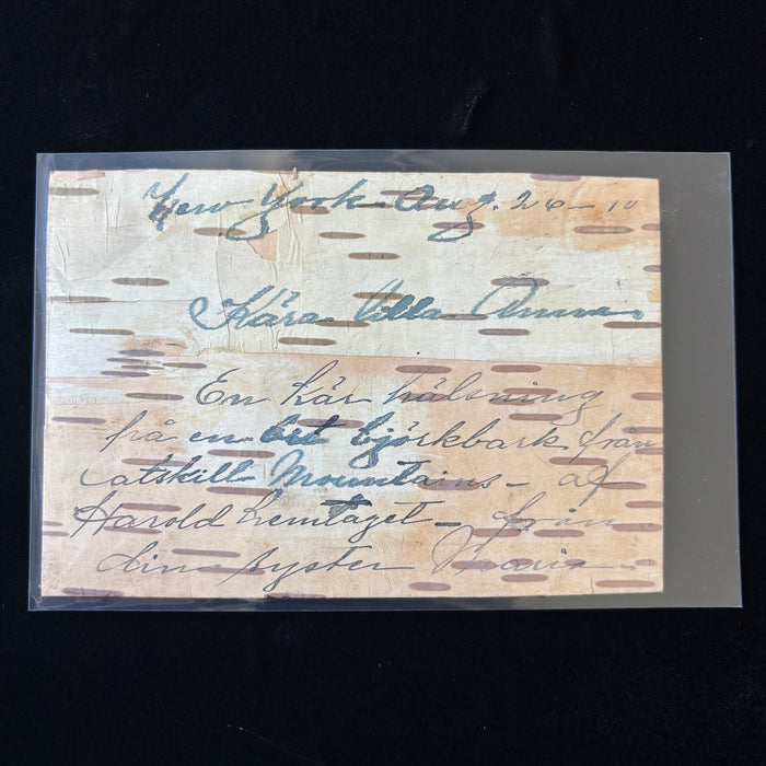 Antique Postcard 1910 Birch Bark Times Square New York Swedish History Catskills