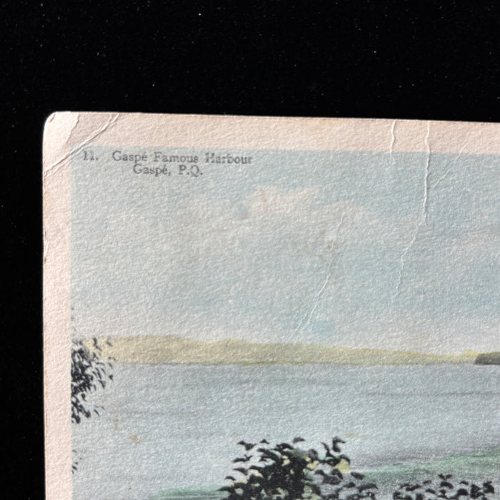 Antique Postcard 1920s "Wildest Dreams" Gaspe Harbour Canada